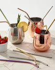 Reusable Metal Straws with Cleaning Brushes