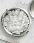 Stainless Steel Silver Ice Bucket with Tongs
