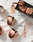 Stainless Steel Moscow Mule Cocktail Mug & Straw Set