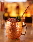 Stainless Steel Moscow Mule Cocktail Mug & Straw Set