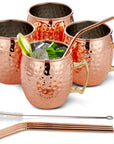 Stainless Steel Moscow Mule Cocktail Mug & Straw Set