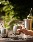 Stainless Steel Silver Tumblers with Straws
