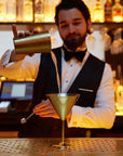 Stainless Steel Gold Martini Cocktail Glasses