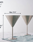 Stainless Steel Matte Silver Martini Cocktail Glasses