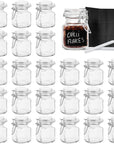 Mini Clip Top Glass Spice Storage Jars